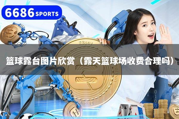 篮球露台图片欣赏（露天篮球场收费合理吗）