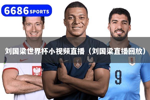 刘国梁世界杯小视频直播（刘国梁直播回放）