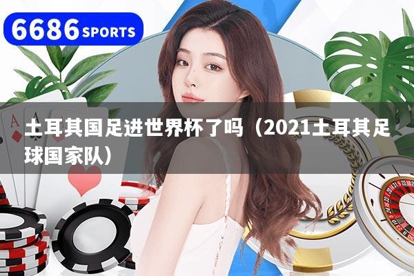 土耳其国足进世界杯了吗(2021土耳其足球国家队)
