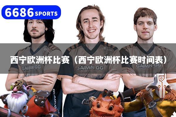 西宁欧洲杯比赛（西宁欧洲杯比赛时间表）